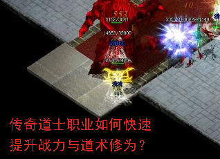 �����ʿְҵ��ο�������ս���������Ϊ��