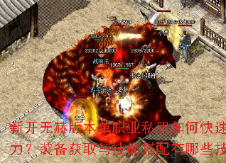 �¿��޺հ汾��ְҵ˽����ο�������ս����װ����ȡ�뼼�ܴ�������Щ���ɣ�