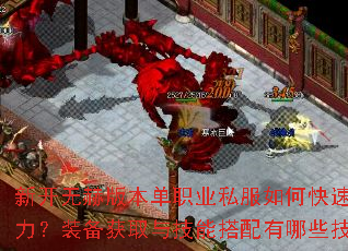 �¿��޺հ汾��ְҵ˽����ο�������ս����װ����ȡ�뼼�ܴ�������Щ���ɣ�