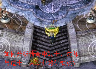 ��η���������սʿ����ʦ���ʿ����ְҵ����ȱ�㣿