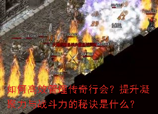 如何高效管理传奇行会?提升凝聚力与战斗力的秘诀是什么? 如何高效管理传奇行会?提升凝聚力与战斗力的秘诀是什么?