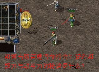 如何高效管理传奇行会?提升凝聚力与战斗力的秘诀是什么? 如何高效管理传奇行会?提升凝聚力与战斗力的秘诀是什么?