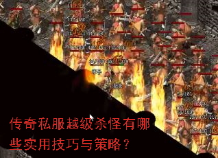 ����˽��Խ��ɱ������Щʵ�ü�������ԣ�