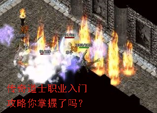 传奇道士职业入门攻略你掌握了吗? 传奇道士职业入门攻略你掌握了吗?