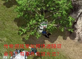 传奇游戏里如何快速赚取金币?有哪些高效方法? 传奇游戏里如何快速赚取金币?有哪些高效方法?