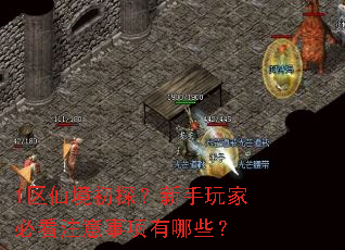1区仙境初探?新手玩家必看注意事项有哪些? 1区仙境初探?新手玩家必看注意事项有哪些?