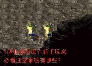 1区仙境初探?新手玩家必看注意事项有哪些? 1区仙境初探?新手玩家必看注意事项有哪些?