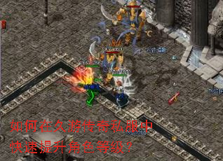 如何在久游传奇私服中快速提升角色等级? 如何在久游传奇私服中快速提升角色等级?