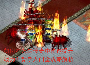 如何在永生传奇中快速提升战力?新手入门全攻略解析 如何在永生传奇中快速提升战力?新手入门全攻略解析