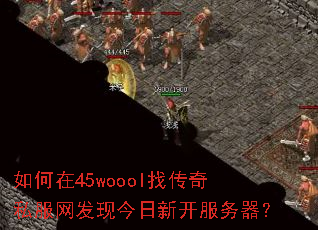�����45woool�Ҵ���˽�������ֽ����¿���������