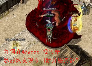 �����45woool�Ҵ���˽�������ֽ����¿���������