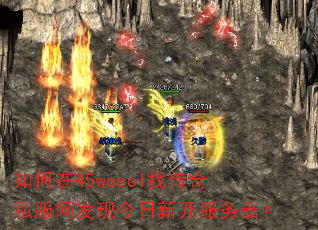 �����45woool�Ҵ���˽�������ֽ����¿���������