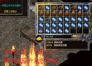 如何在新开传奇cqsf中快速提升角色等级? 如何在新开传奇cqsf中快速提升角色等级?