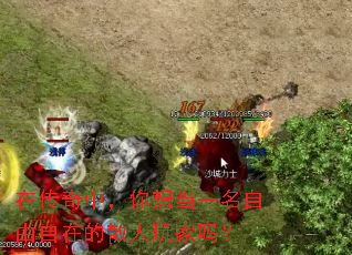 在传奇中,你想当一名自由自在的散人玩家吗? 在传奇中,你想当一名自由自在的散人玩家吗?