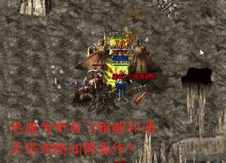 热血传奇直飞暗殿和通天塔攻略如何操作? 热血传奇直飞暗殿和通天塔攻略如何操作?