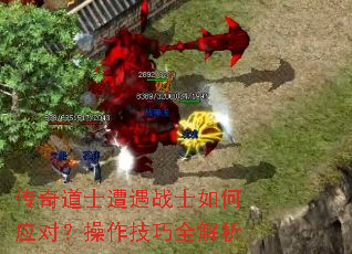 �����ʿ����սʿ���Ӧ�ԣ���������ȫ����