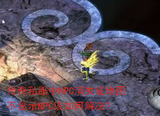 ����˽����NPC��ʧ���ͼ����ʾNPC����ν����
