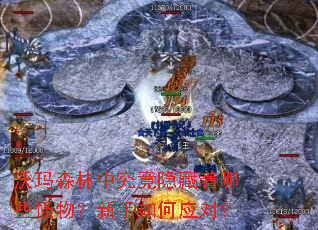 沃玛森林中究竟隐藏着哪些怪物?新手如何应对? 沃玛森林中究竟隐藏着哪些怪物?新手如何应对?