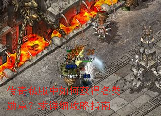 传奇私服中如何获得各类勋章?求详细攻略指南 传奇私服中如何获得各类勋章?求详细攻略指南