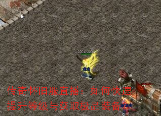 传奇怀旧服直播:如何快速提升等级与获取极品装备? 传奇怀旧服直播:如何快速提升等级与获取极品装备?