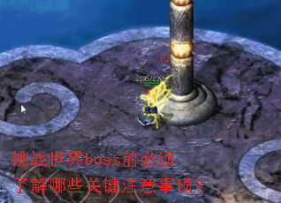 挑战世界boss前必须了解哪些关键注意事项? 挑战世界boss前必须了解哪些关键注意事项?