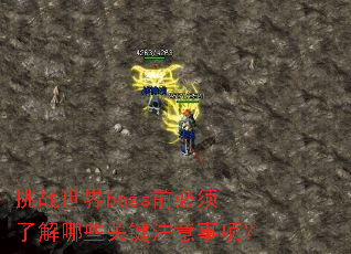 挑战世界boss前必须了解哪些关键注意事项? 挑战世界boss前必须了解哪些关键注意事项?