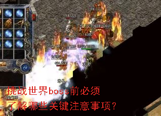挑战世界boss前必须了解哪些关键注意事项? 挑战世界boss前必须了解哪些关键注意事项?