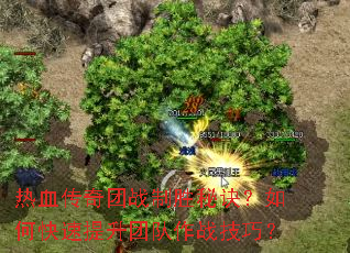 ��Ѫ������ս��ʤ�ؾ�����ο��������Ŷ���ս���ɣ�