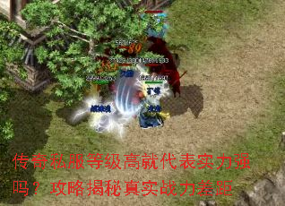 ����˽���ȼ��߾ʹ���ʵ��ǿ�𣿹��Խ�����ʵս�����