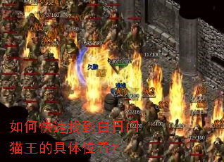 如何快速找到白日门猫王的具体位置? 如何快速找到白日门猫王的具体位置?