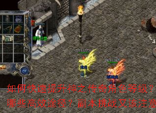 如何快速提升神之传奇角色等级?装备获取有哪些高效途径?副本挑战又该注意哪些技巧? 如何快速提升神之传奇角色等级?装备获取有哪些高效途径?副本挑战又该注意哪些技巧?
