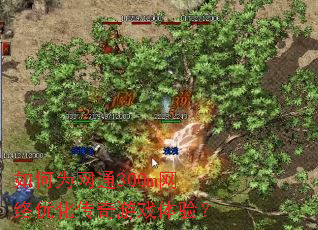如何为网通300m网络优化传奇游戏体验? 如何为网通300m网络优化传奇游戏体验?