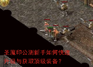 圣魔印公测新手如何快速升级与获取顶级装备? 圣魔印公测新手如何快速升级与获取顶级装备?