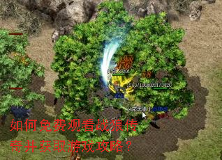 �����ѹۿ�ս�Ǵ��沢��ȡ��Ϸ���ԣ�