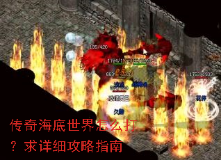 传奇海底世界怎么打?求详细攻略指南 传奇海底世界怎么打?求详细攻略指南