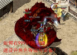 如何在999sf网站快速提升角色等级与装备? 如何在999sf网站快速提升角色等级与装备?