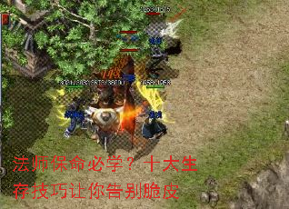 ��ʦ������ѧ��ʮ�����漼���������Ƥ