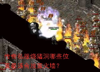 ����˽����������Щλ�����ʺϷ��û�ǽ��