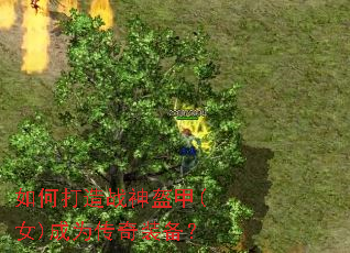 如何打造战神盔甲(女)成为传奇装备? 如何打造战神盔甲(女)成为传奇装备?