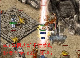 Max��δ����ִ�����ɱ�Ϊȫ����һս��