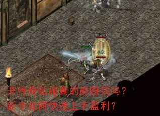 开传奇私服真的能赚钱吗?新手如何快速上手盈利? 开传奇私服真的能赚钱吗?新手如何快速上手盈利?