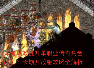 ��θ�Ч������ְҵ�����ɫս�������ڿ��ŷ�����ȫ����