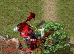 新手初入传奇手游,该从何入手快速上手? 新手初入传奇手游,该从何入手快速上手?