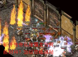 �¿�����˽������Ϊ���ܷ��񣿶������Խ���