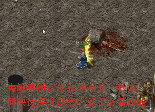 魔域手游sf发布网刚开一秒如何快速提升战力?新手必看攻略 魔域手游sf发布网刚开一秒如何快速提升战力?新手必看攻略