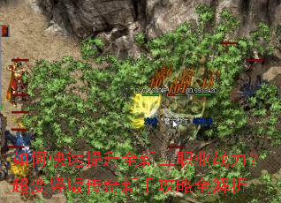 如何快速提升全新三职业战力?超变竖版传奇新手攻略全解析 如何快速提升全新三职业战力?超变竖版传奇新手攻略全解析