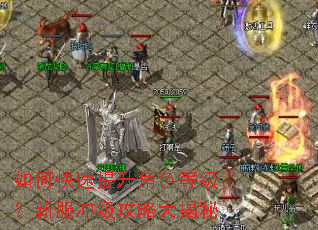 如何快速提升角色等级?新服冲级攻略大揭秘 如何快速提升角色等级?新服冲级攻略大揭秘
