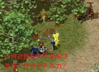 如何在找服网手游中快速提升传奇角色战力? 如何在找服网手游中快速提升传奇角色战力?