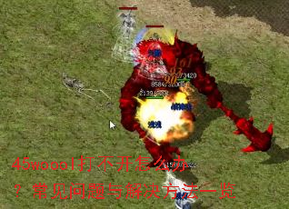 45woool�򲻿���ô�죿����������������һ��