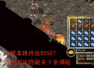 ��ε����ռ�BOSS��������Ϸ���عؿ�ȫ����